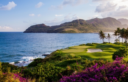 内容创作变现经验